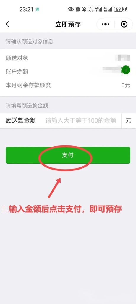⑫ 输入金额(≥100)→ 点击支付